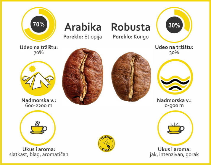 Razlike i karakteristike vrste kafa arabika i robusta.
