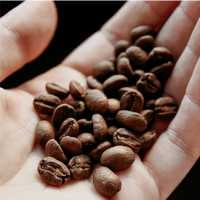 espresso kafa u zrnu blendovi
